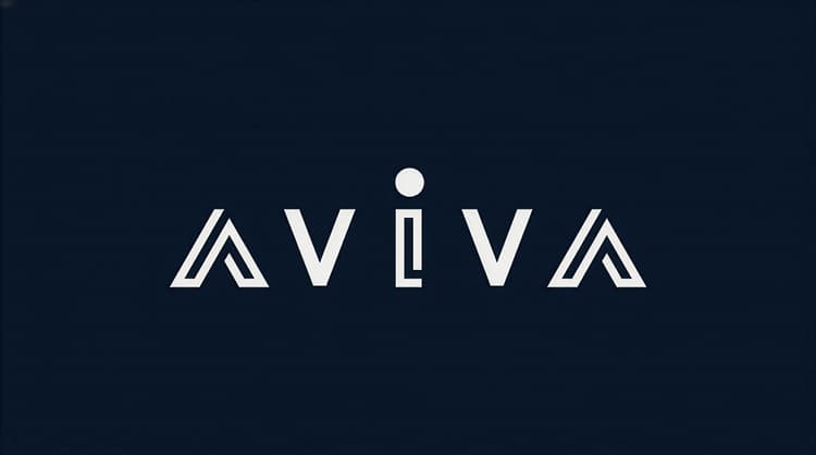AvIvA Consulting